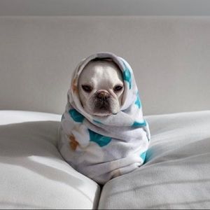 Meet your Posher, Sarina